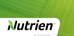 Nutrien's Brand Guide