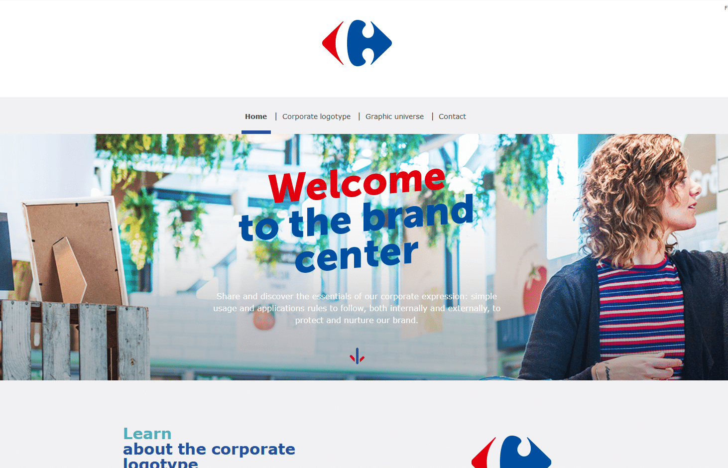 Carrefour's Brand Guide